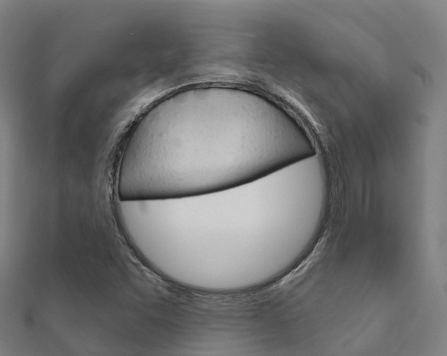 X0000112431455200908141100
