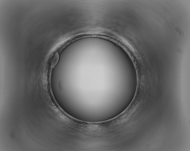 X0000112431456200908141100