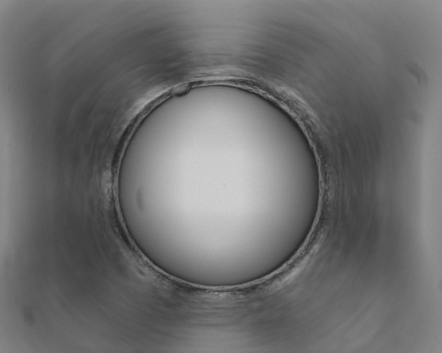 X0000112431457200908141100