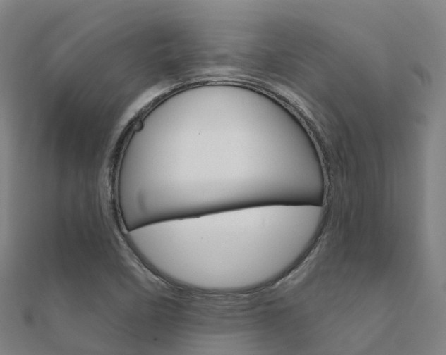 X0000112431458200908141100