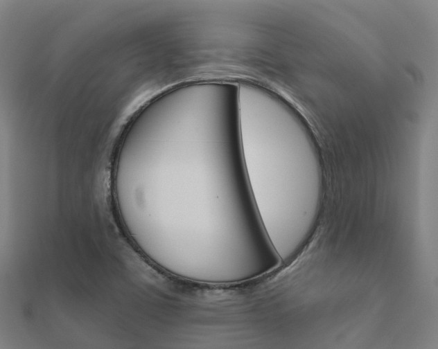 X0000112431459200908141100