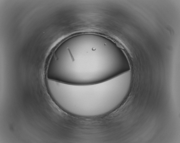 X0000112431460200908141100