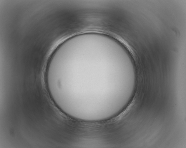 X0000112431461200908141100