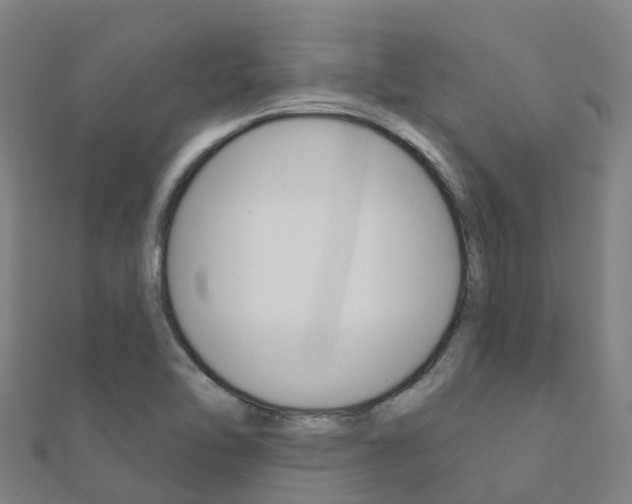 X0000112431462200908141100