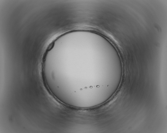 X0000112431463200908141100