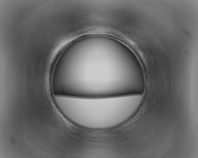 X0000112431464200908141100