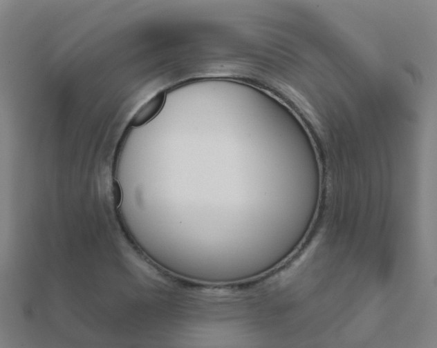 X0000112431465200908141100