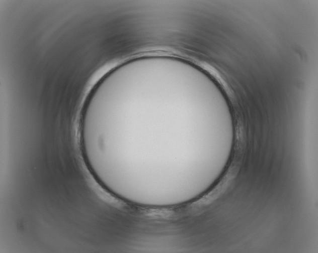 X0000112431466200908141100