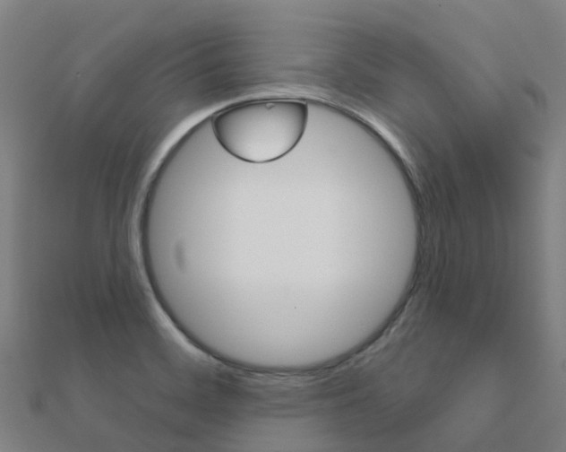 X0000112431468200908141100