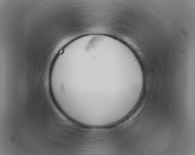 X0000112431469200908141100