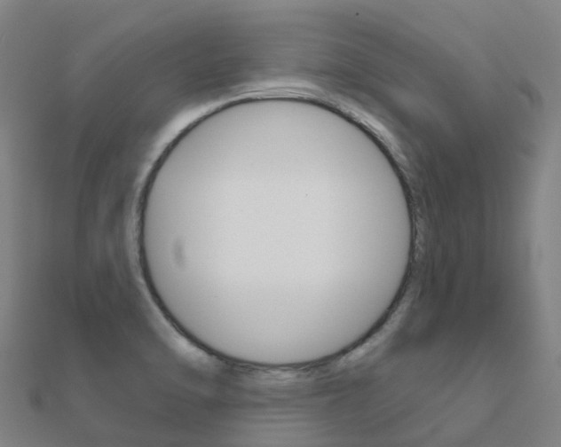 X0000112431470200908141100