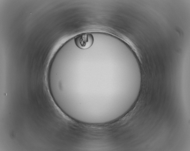 X0000112431472200908141100