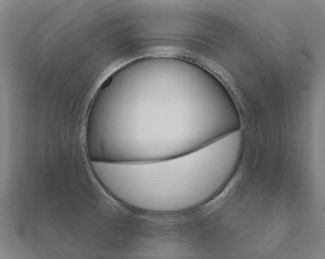X0000112431473200908141100