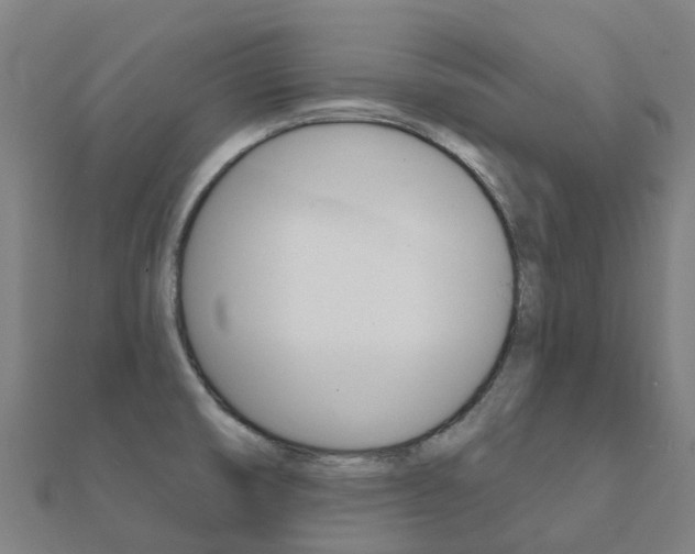 X0000112431474200908141100