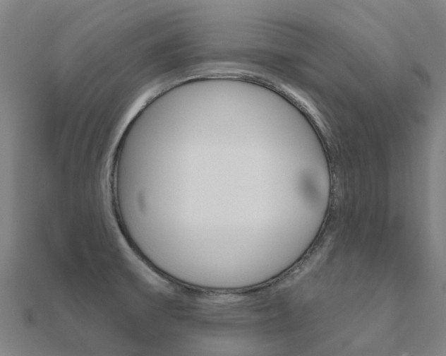 X0000112431475200908141100