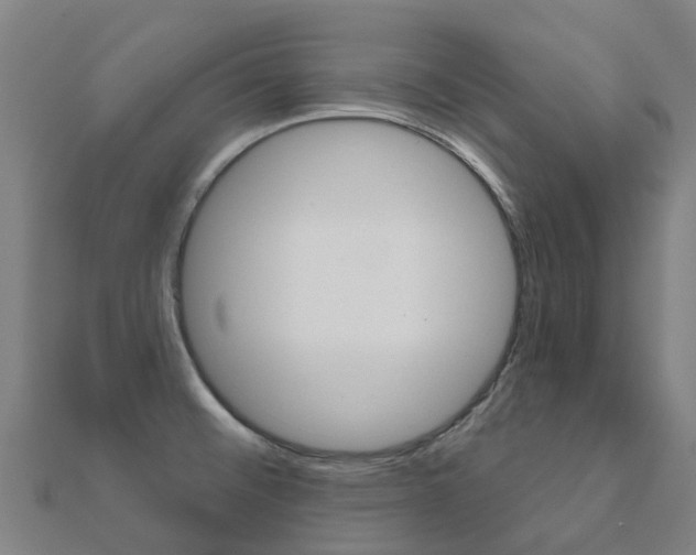 X0000112431476200908141100