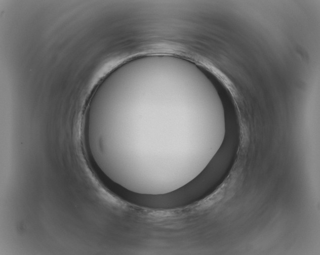 X0000112431477200908141100
