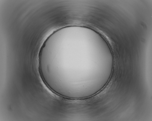X0000112431479200908141100