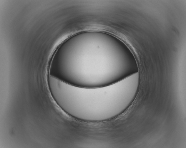 X0000112431480200908141100