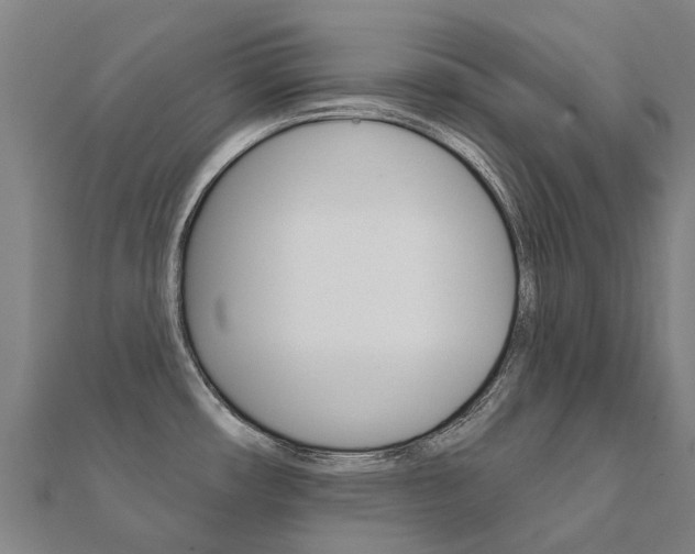X0000112431482200908141100