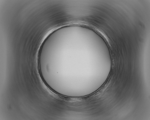 X0000112431483200908141100