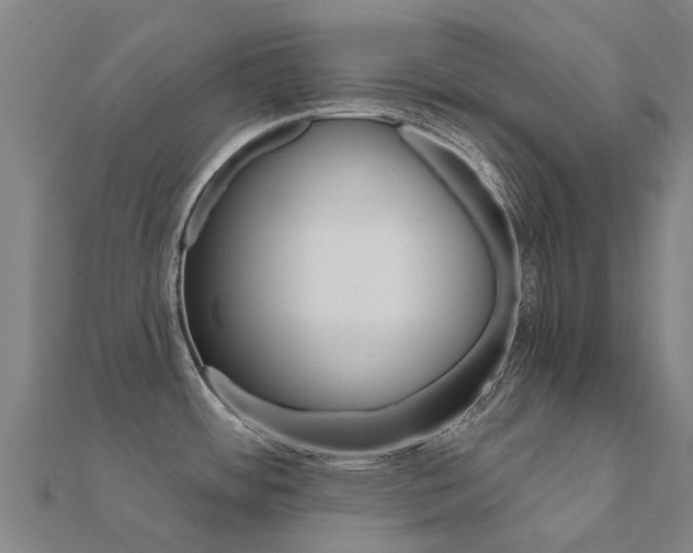 X0000112431484200908141100