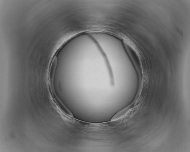 X0000112431485200908141100