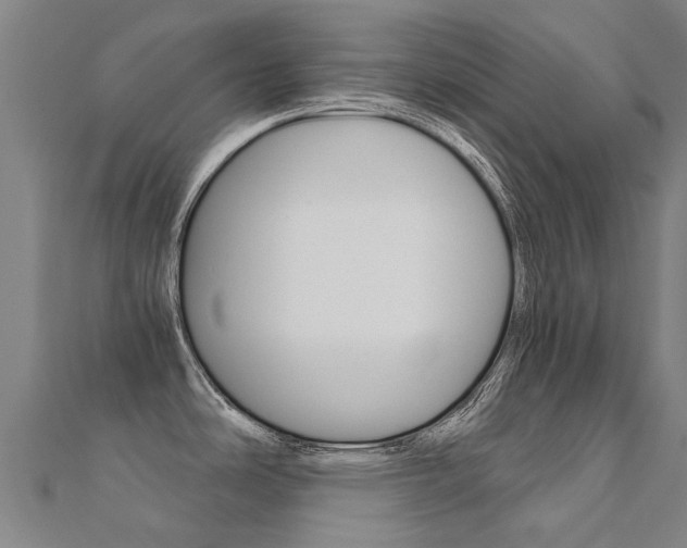 X0000112431486200908141100