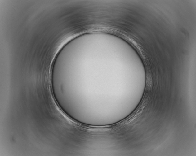 X0000112431487200908141100