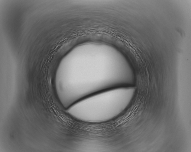X0000112431489200908141059