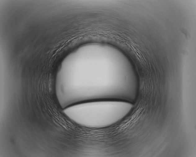X0000112431490200908141059