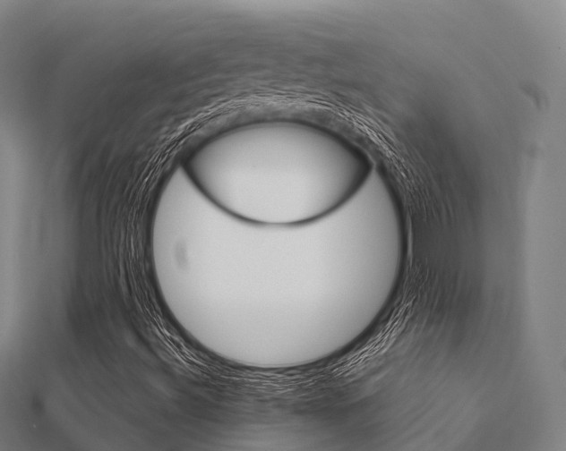 X0000112431492200908141059