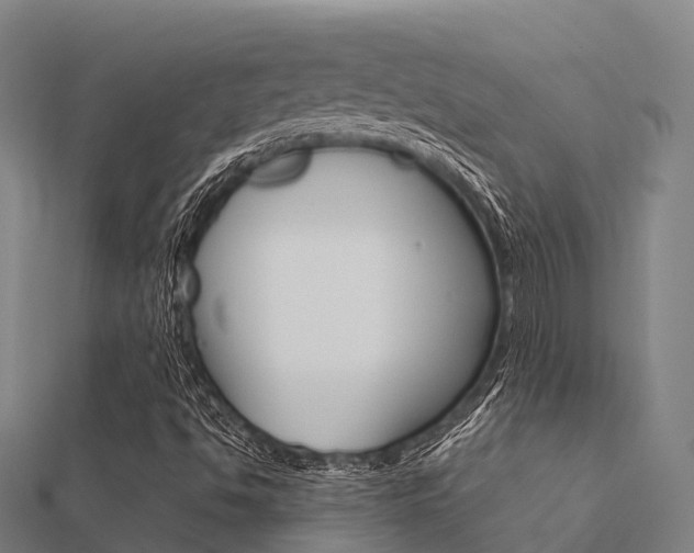 X0000112431494200908141059