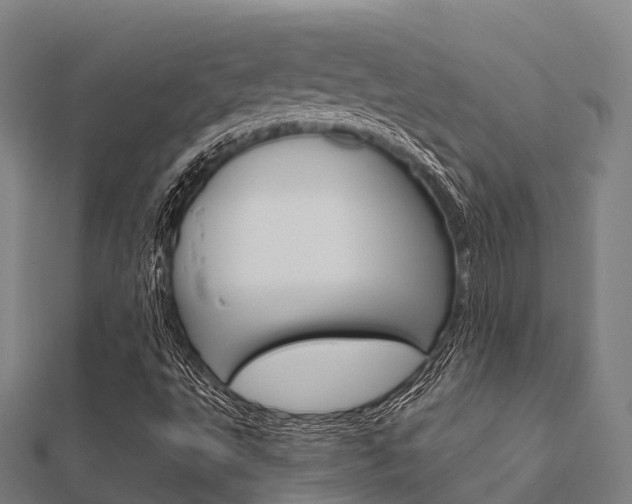 X0000112431495200908141059