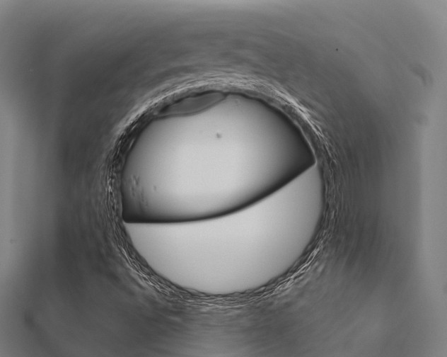 X0000112431496200908141059