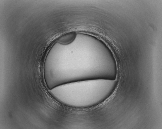 X0000112431497200908141059