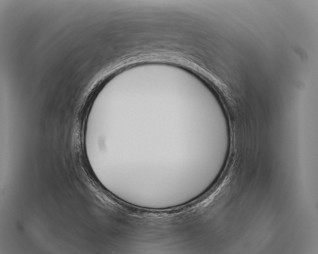 X0000112431498200908141059