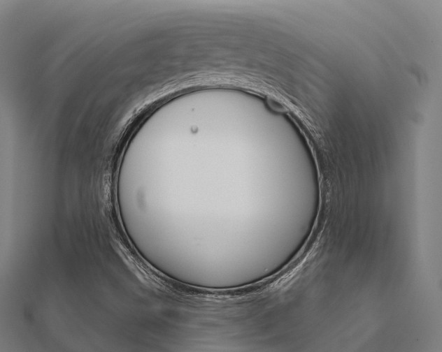 X0000112431499200908141059