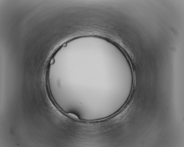 X0000112431500200908141059