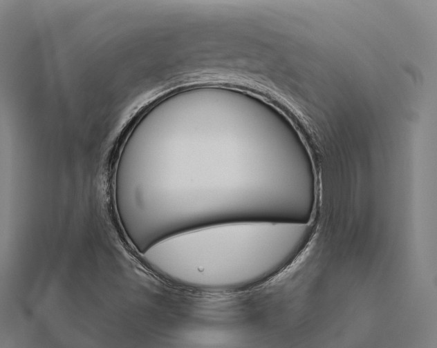 X0000112431501200908141059