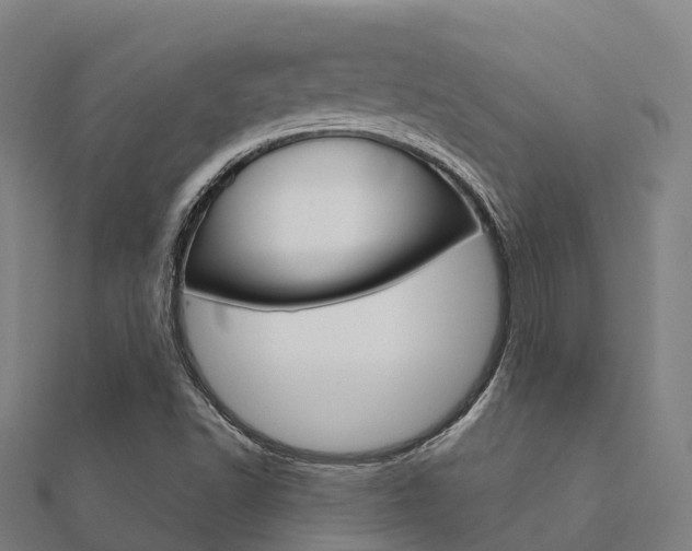 X0000112431502200908141059