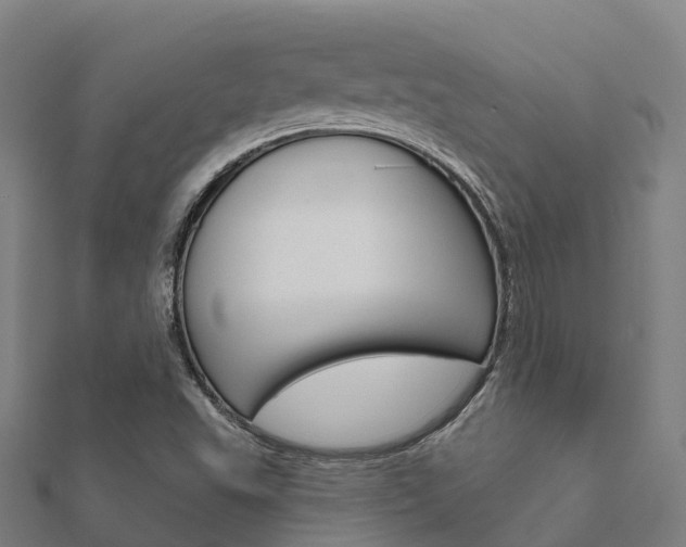 X0000112431503200908141100