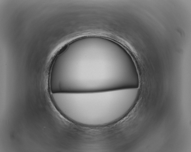 X0000112431504200908141100