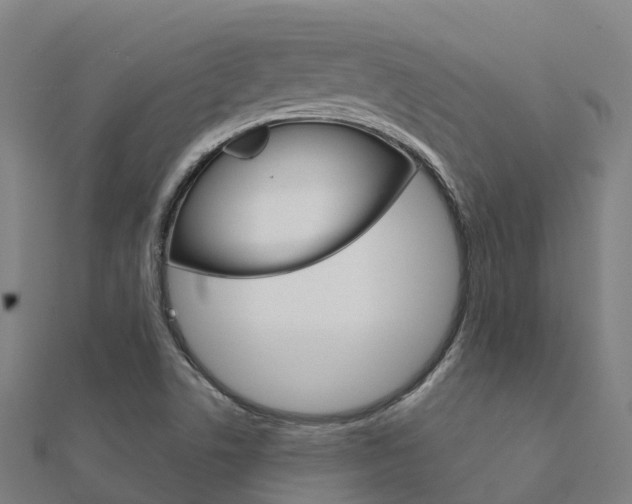 X0000112431506200908141100