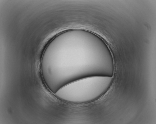 X0000112431507200908141100