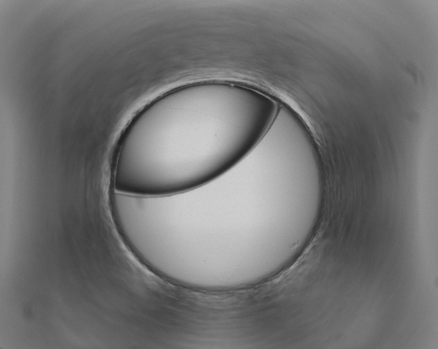 X0000112431508200908141100