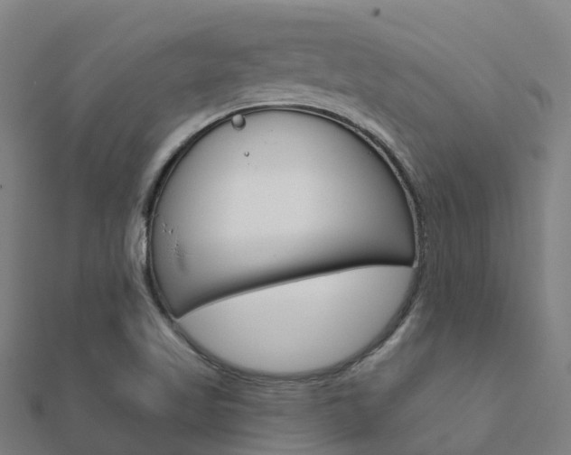 X0000112431509200908141100