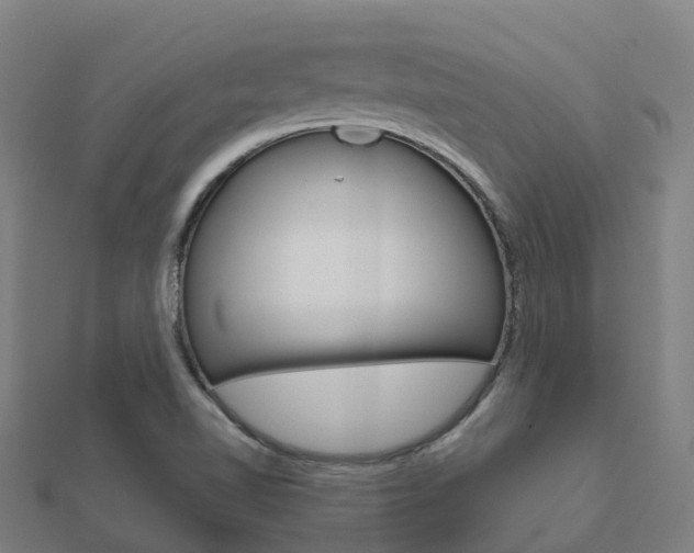 X0000112431510200908141100