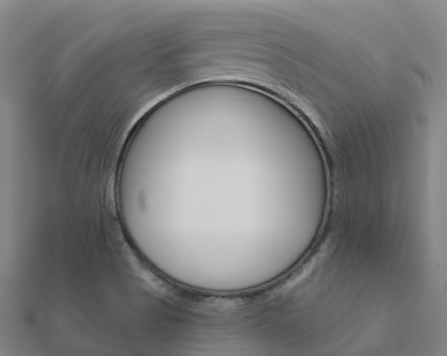 X0000112431513200908141100