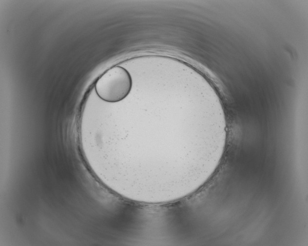 X0000112431514200908141100